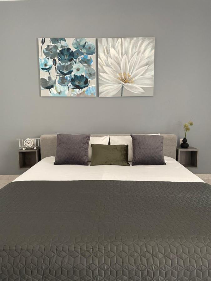 T&S Apartments With Free Parking Apartment *
